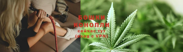 трава Арсеньев