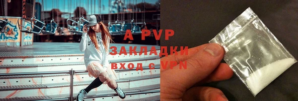 стаф Алексин